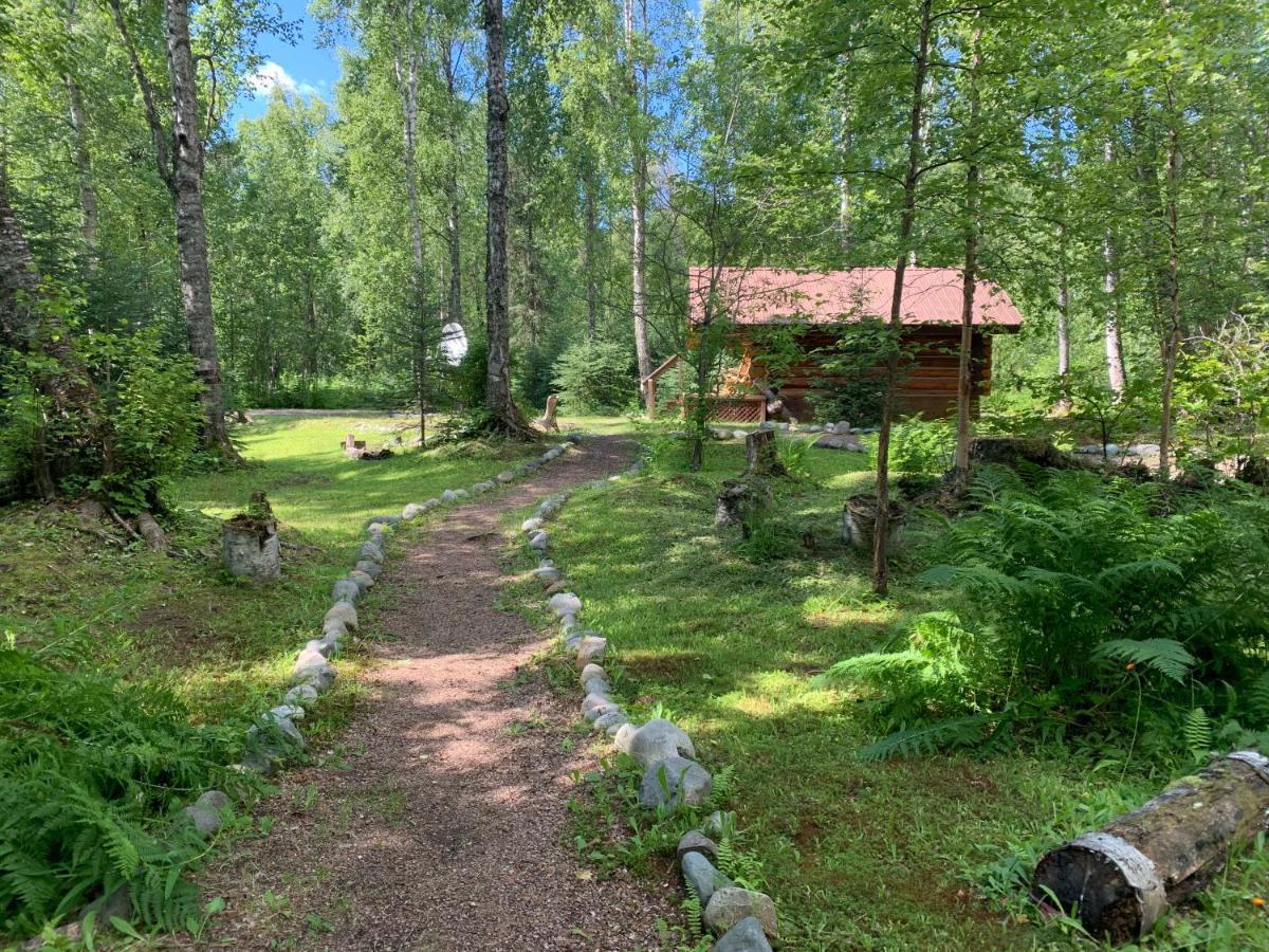 Meandering Moose Lodging تالكيتنا المظهر الخارجي الصورة