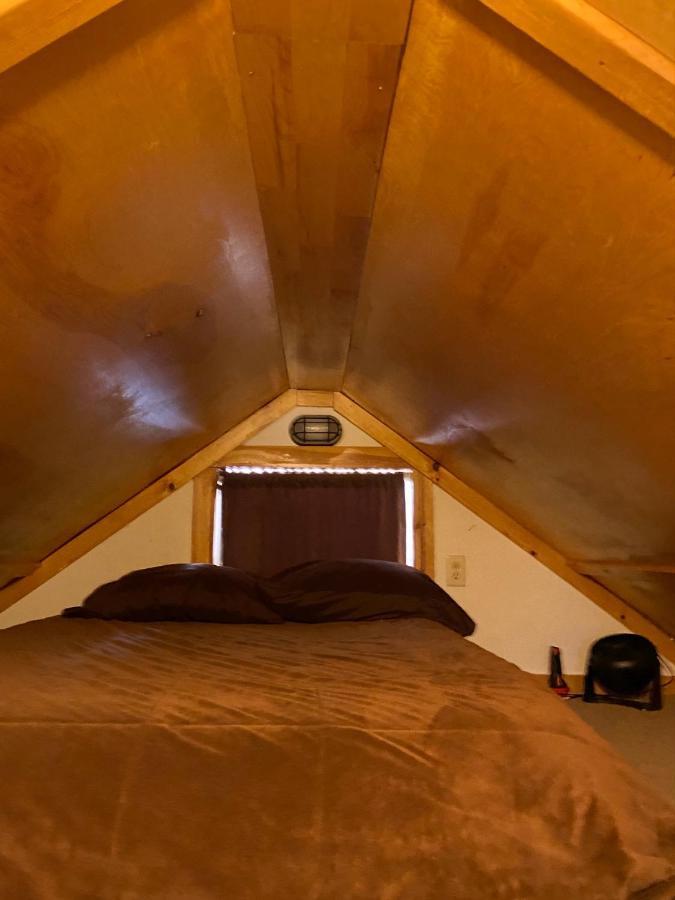 Meandering Moose Lodging تالكيتنا المظهر الخارجي الصورة