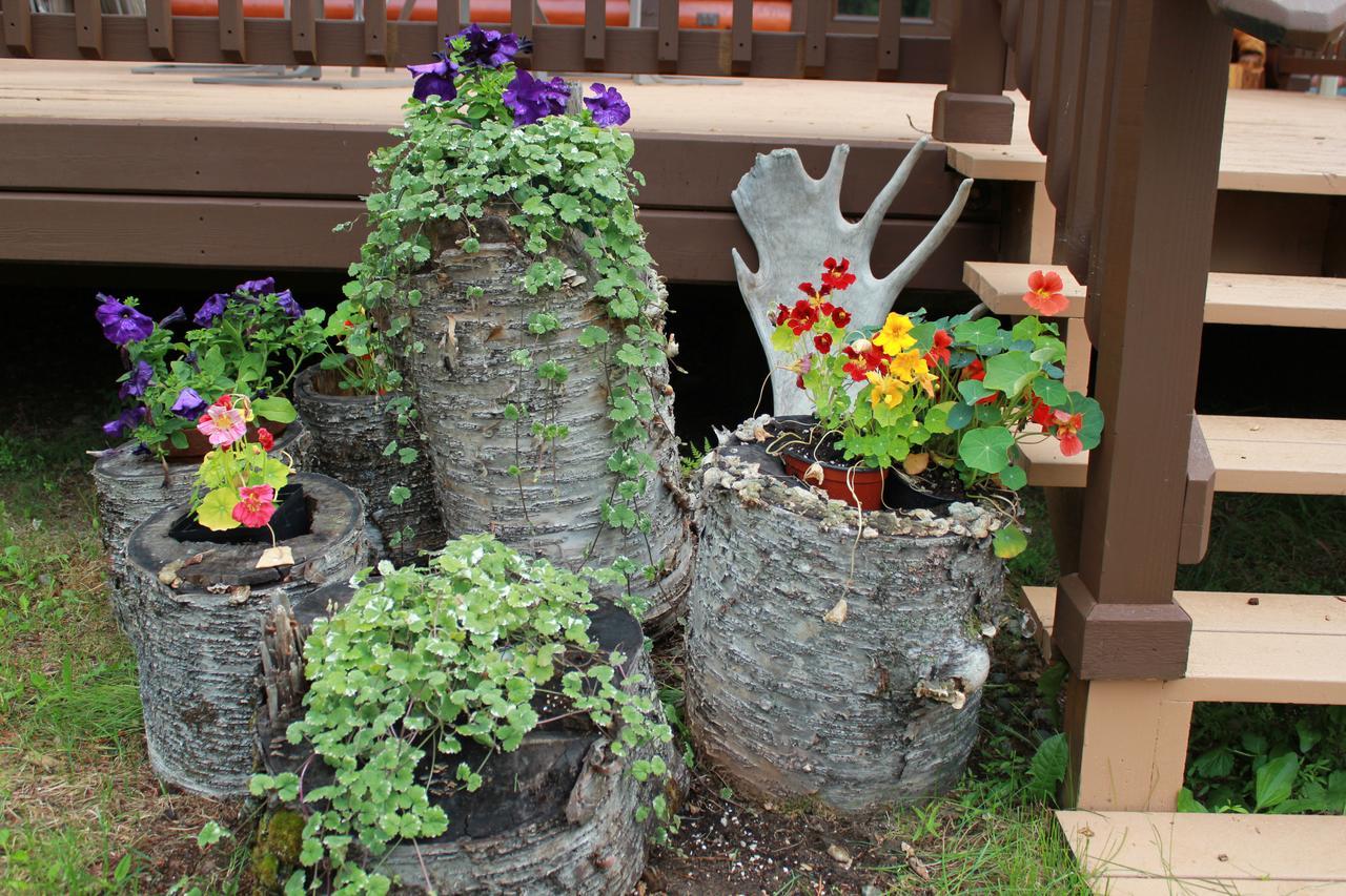 Meandering Moose Lodging تالكيتنا المظهر الخارجي الصورة