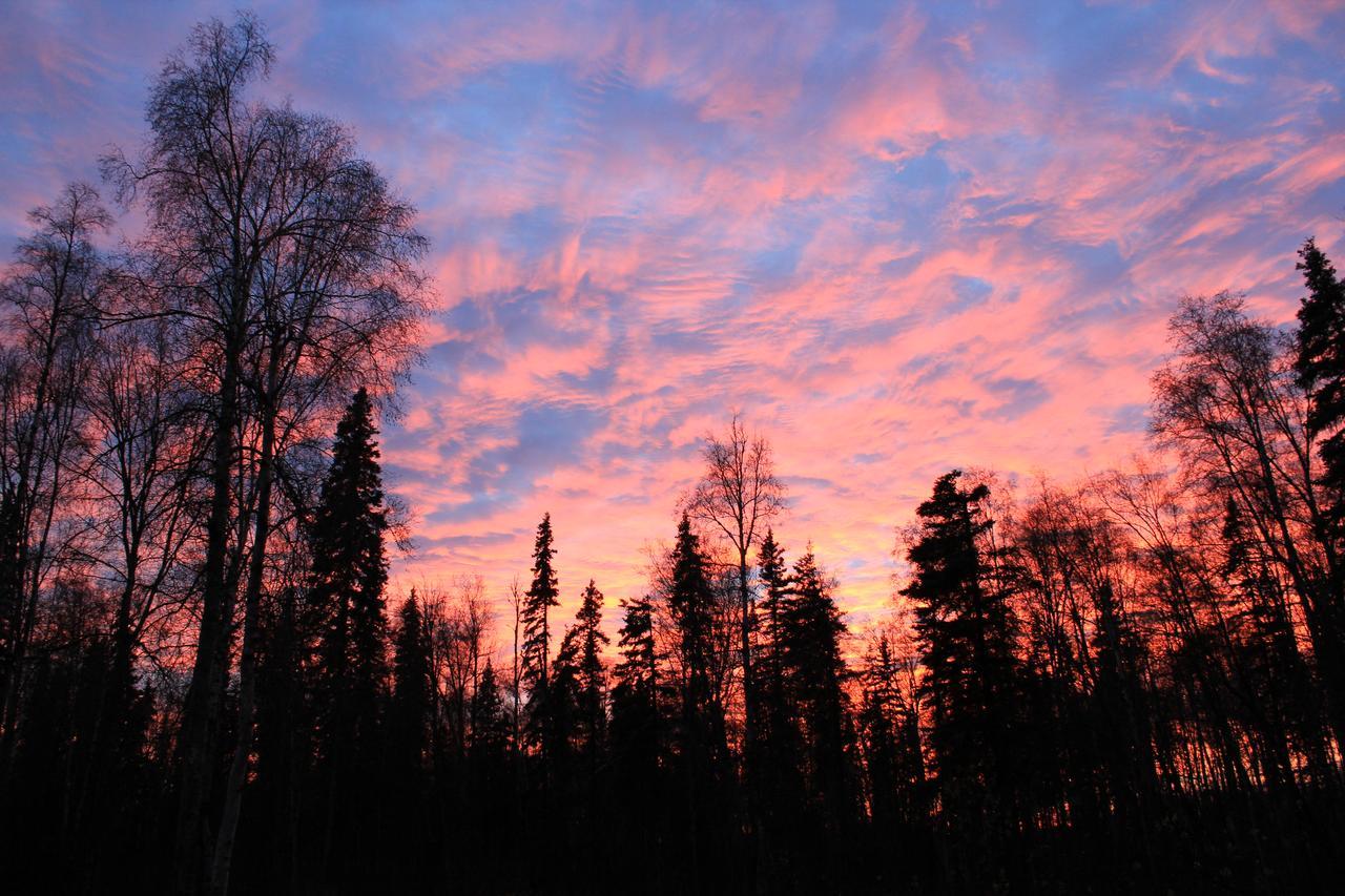 Meandering Moose Lodging تالكيتنا المظهر الخارجي الصورة