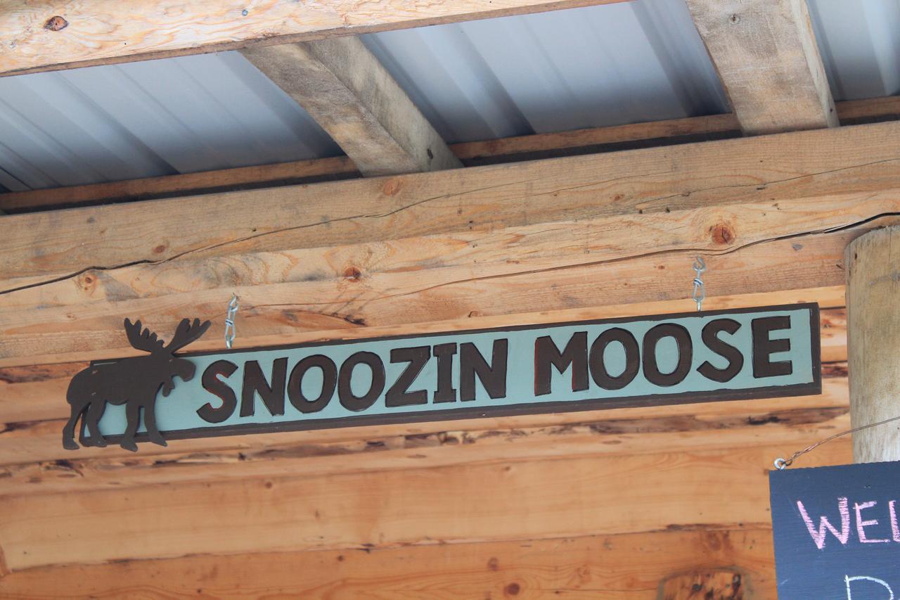 Meandering Moose Lodging تالكيتنا المظهر الخارجي الصورة