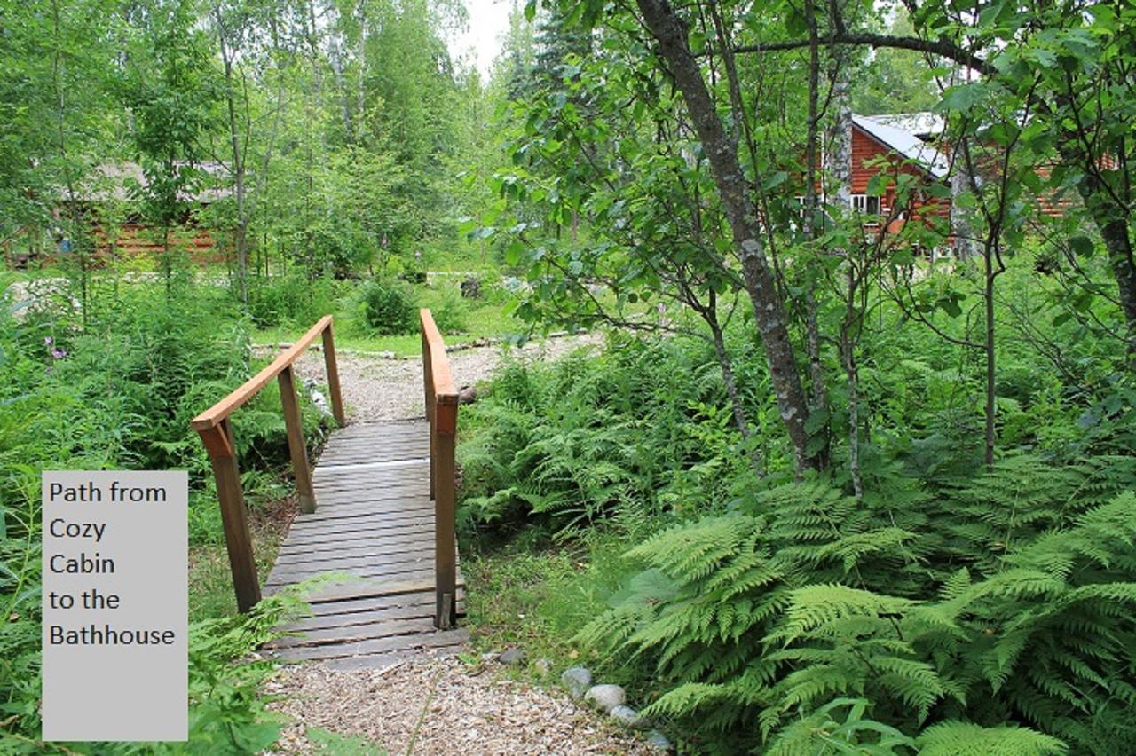 Meandering Moose Lodging تالكيتنا المظهر الخارجي الصورة