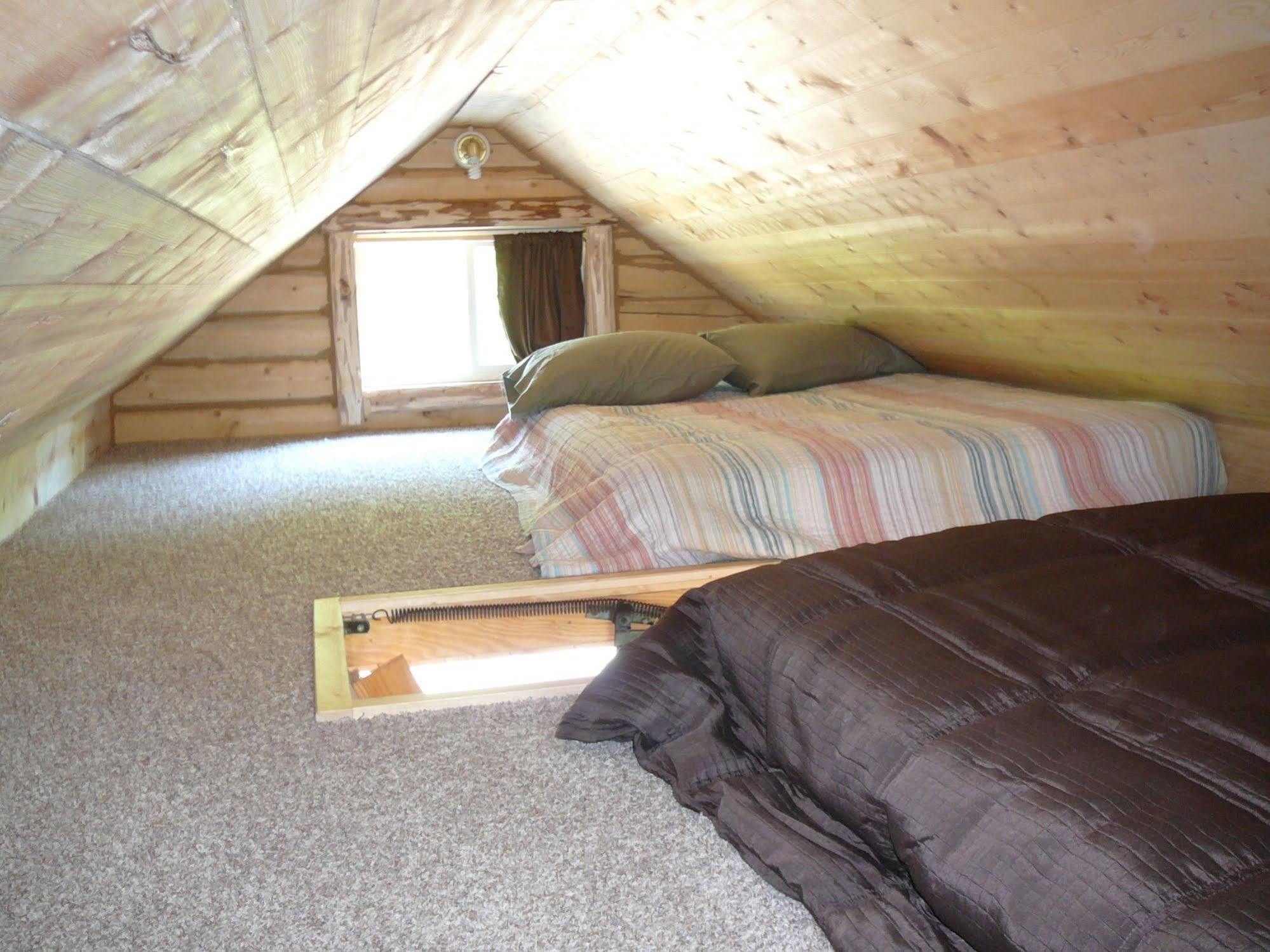Meandering Moose Lodging تالكيتنا المظهر الخارجي الصورة